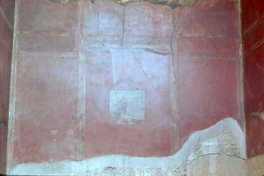 II.2 Herculaneum, October 2014. Landscape painting from north wall. Photo courtesy of Michael Binns.

