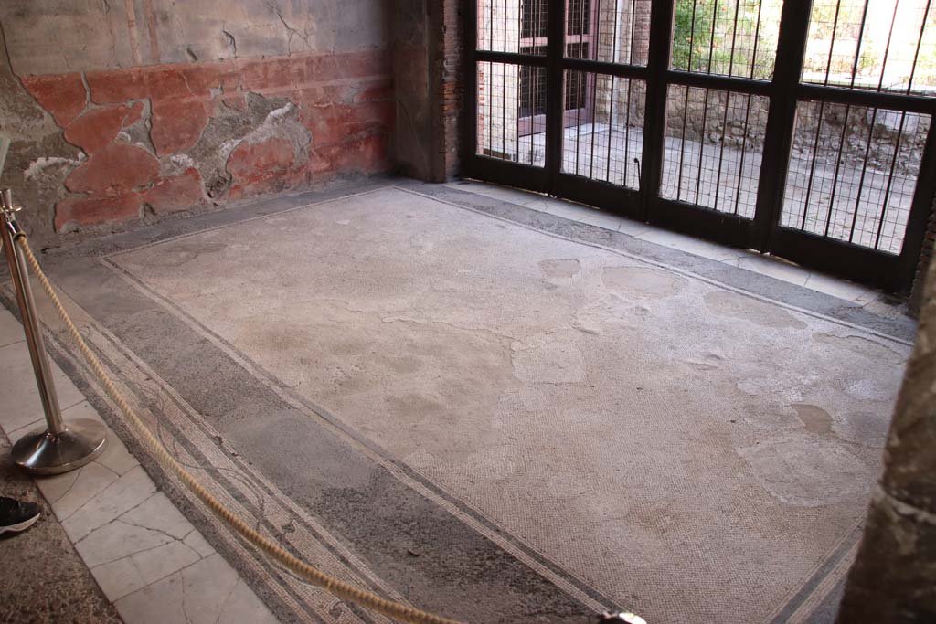 III.11 Herculaneum. September 2019. Room 9, tablinum mosaic flooring.  Photo courtesy of Klaus Heese.