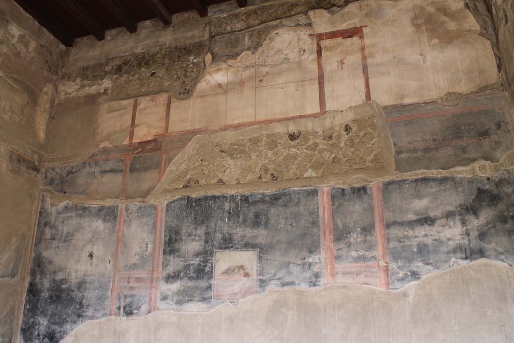 V. 35, Herculaneum, September 2015. Ala B, detail of painted panel from upper south end of west wall. Photo courtesy of Michael Binns.
