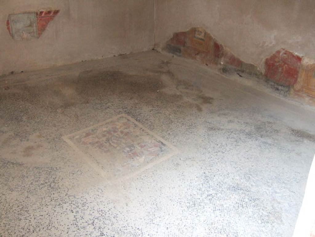 Ins. V. 35, Herculaneum, May 2006. Mosaic floor, and south and west wall with remains of painted plaster. 