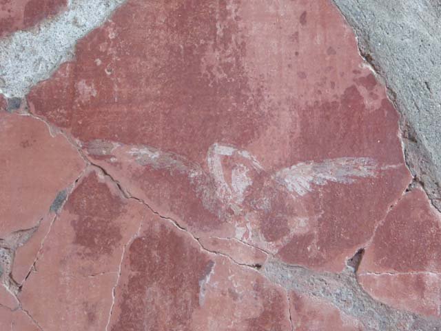 V. 35, Herculaneum, September 2015. Triclinium 1, detail of painted plaster from east wall in north-east corner.  Photo courtesy of Michael Binns. 
