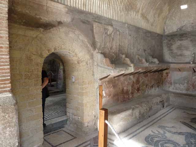 VI.8, Herculaneum. May 2010. Looking west. Mosaic threshold of doorway from apodyterium to tepidarium.

