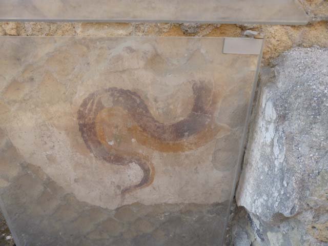 Ins VI, Herculaneum, June 2012. Painted serpent on south side of altar. Photo courtesy of Michael Binns.

