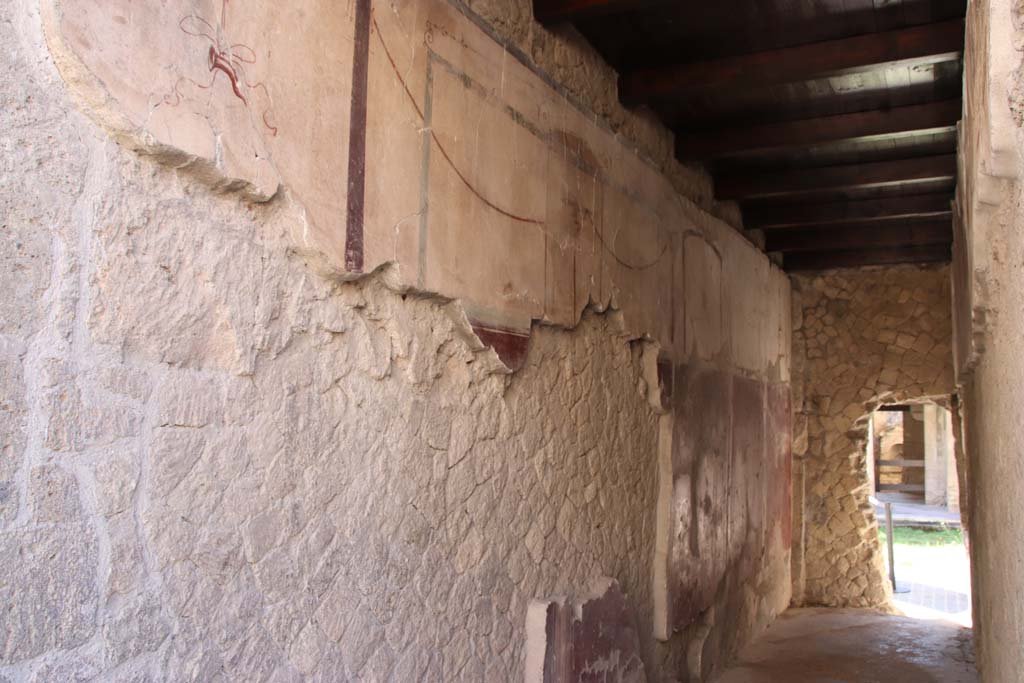 VI.13/11, Herculaneum. September 2017. Painted detail from corridor walls. Photo courtesy of Klaus Heese.