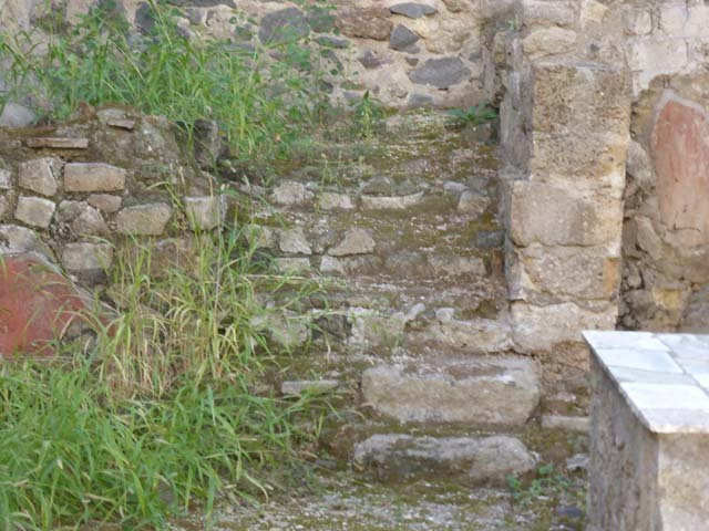 VI.19, Herculaneum, June 2011. Looking towards podium near east wall. Photo courtesy of Sera Baker.