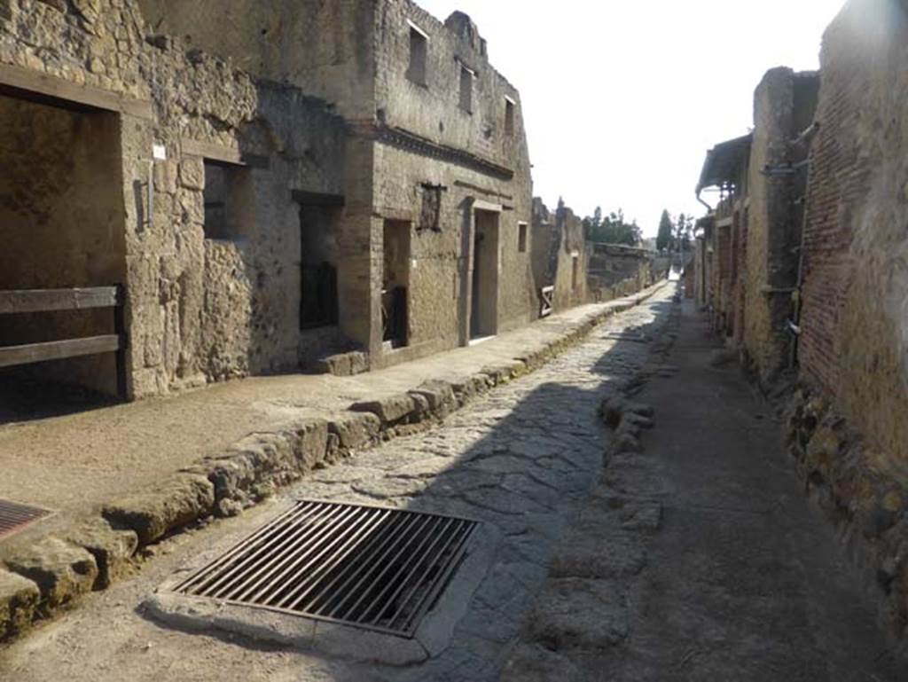 Cardo III Superiore, Herculaneum, September 2015. Drain in road. 