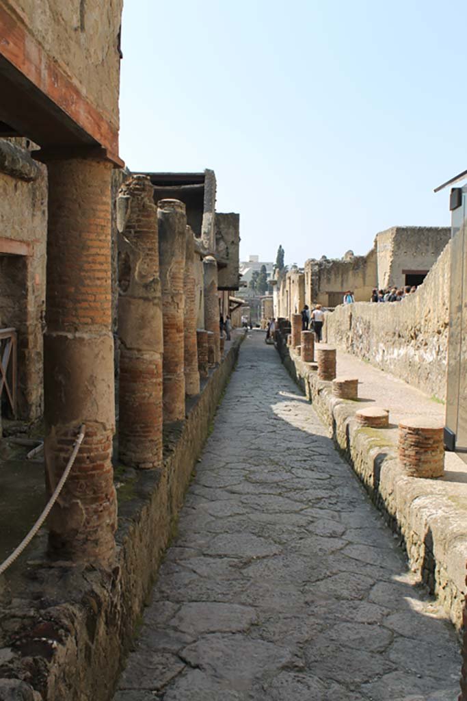 Cardo IV, Herculaneum. March 2014. Looking south.   
Foto Annette Haug, ERC Grant 681269 DÉCOR.
