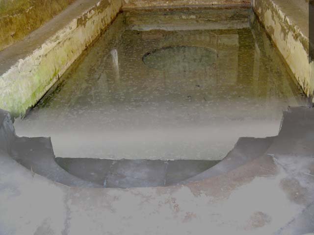 South-western baths, Herculaneum. July 2010. Photo courtesy of Michael Binns.
South end of pool, steps descending into water at the semi-circular end of the pool.

