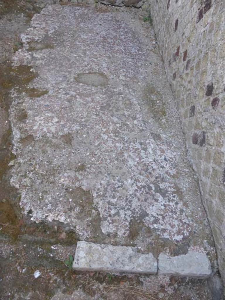 II.2 Herculaneum, September 2015. Remains of flooring. 