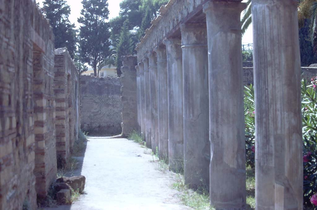 II.2 Herculaneum, 7th August 1976. Looking south from north-east corner of peristyle, along east portico.  
Photo courtesy of Rick Bauer, from Dr George Fay’s slides collection.
