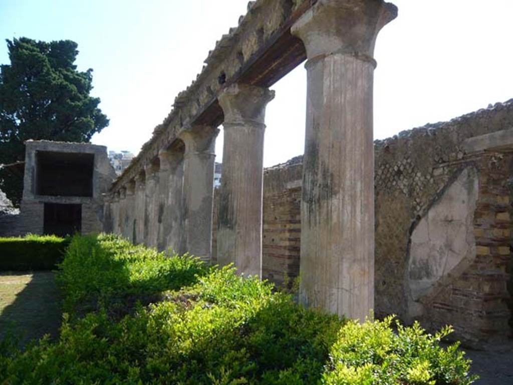 II.2 Herculaneum, August 2013. Looking north along east portico. Photo courtesy of Buzz Ferebee.