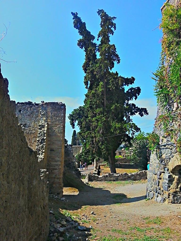 II.5 Herculaneum, photo taken between October 2014 and November 2019. 
Looking south across atrium towards II.3. Photo courtesy of Giuseppe Ciaramella.
