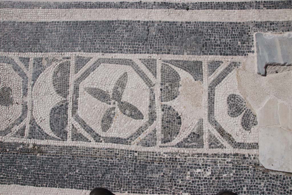 Ins. III.1 Herculaneum, October 2020. Room 23, detail of continuation of threshold mosaic. Photo courtesy of Klaus Heese.