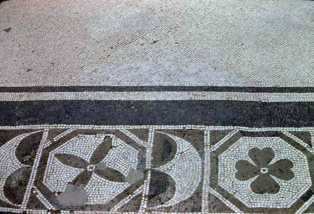 III.19/18/1, Herculaneum, 7th August 1976. Room 23, detail of mosaic threshold.
Photo courtesy of Rick Bauer, from Dr George Fay’s slides collection.
