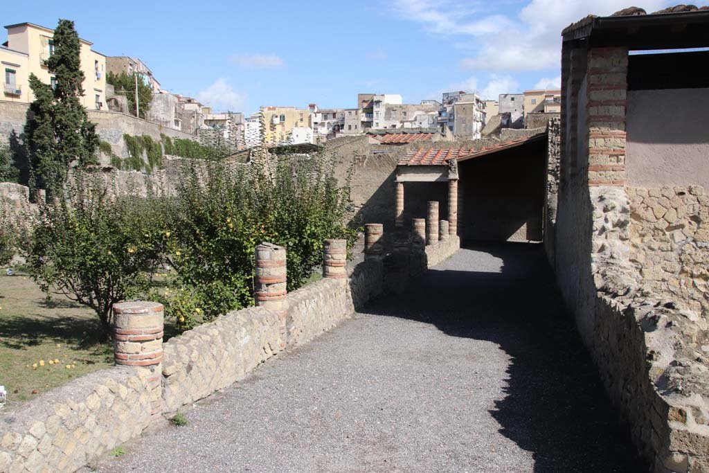 III.1 Herculaneum, October 2020. Area 31, looking north along east portico. Photo courtesy of Klaus Heese.