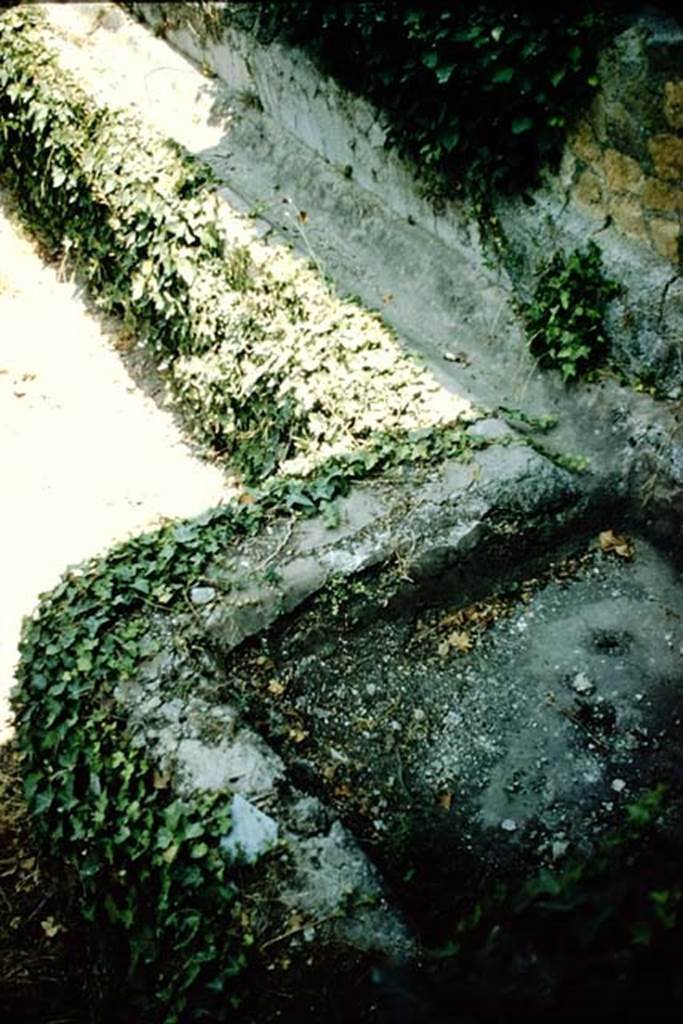 III, 1,2,18/19 Casa dell’Albergo, Herculaneum. 1957. South-west corner of area 31. 
Photo by Stanley A. Jashemski.
Source: The Wilhelmina and Stanley A. Jashemski archive in the University of Maryland Library, Special Collections (See collection page) and made available under the Creative Commons Attribution-Non Commercial License v.4. See Licence and use details. J57f0438
