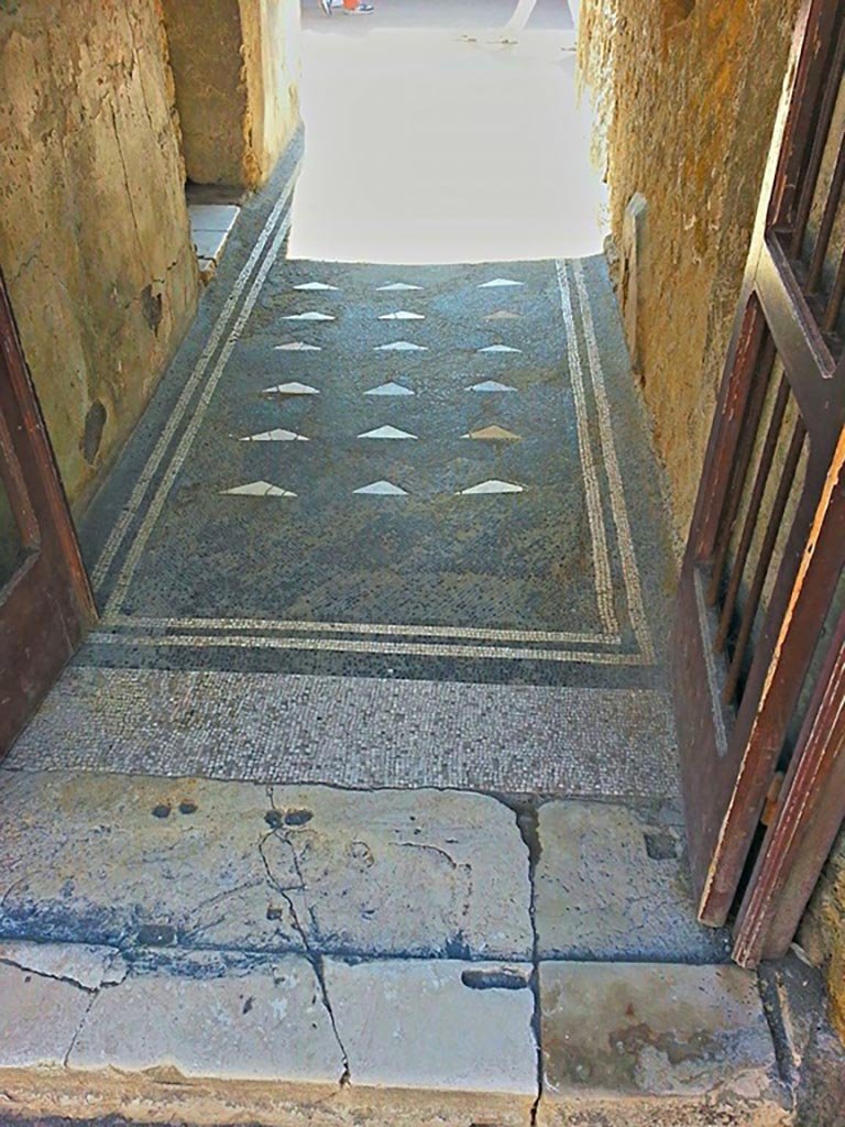 III.3 Herculaneum. Photo taken between October 2014 and November 2019. 
Threshold to entrance doorway and flooring in entrance corridor. Photo courtesy of Giuseppe Ciaramella.
