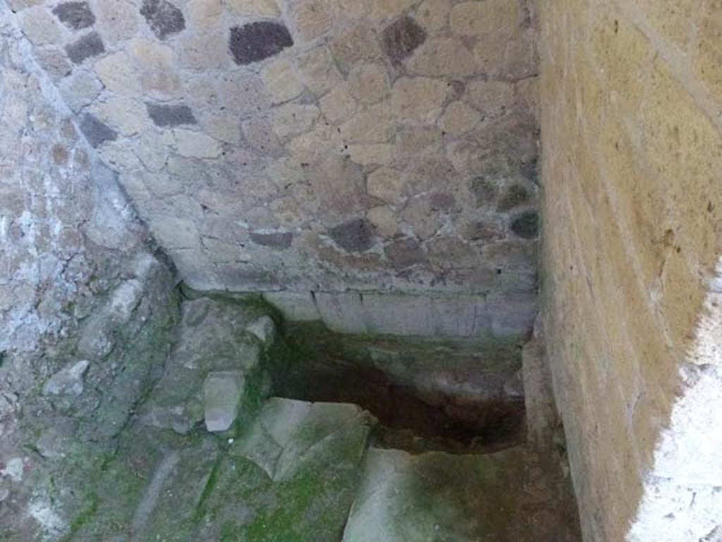 lll.9 Herculaneum, October 2012. Looking towards south end of latrine. Photo courtesy of Michael Binns.