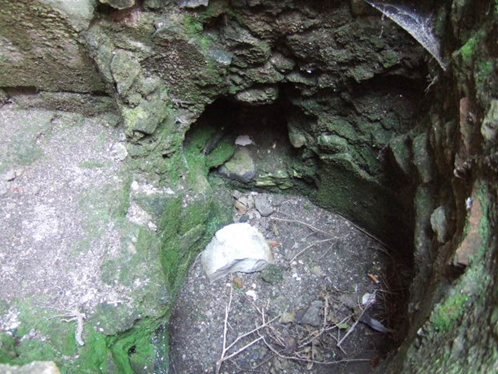 Ins. III.16, Herculaneum, May 2006. Room 5, basin/vat. 