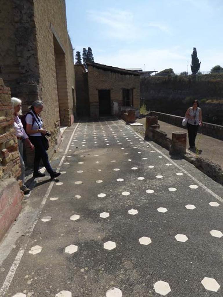 IV.2/1, Herculaneum, September 2016. Looking east across covered portico, and onto terrace which would have overlooked the beachfront.  Photo courtesy of Michael Binns.


