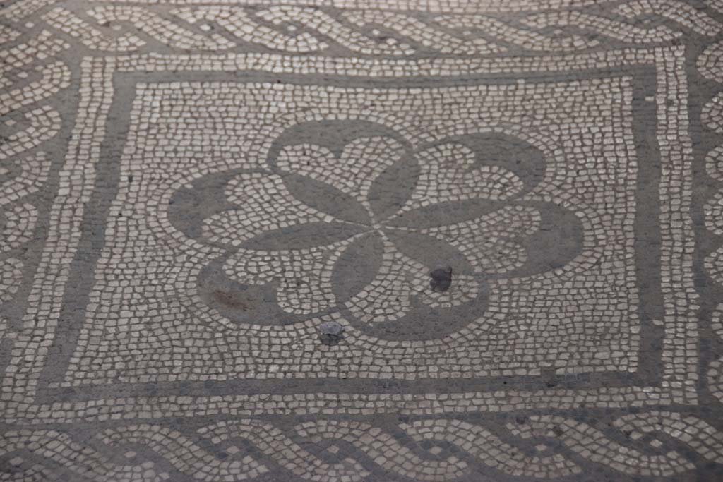 IV.2, Herculaneum, September 2017. Detail of mosaic pattern in centre of entrance corridor. Photo courtesy of Klaus Heese.