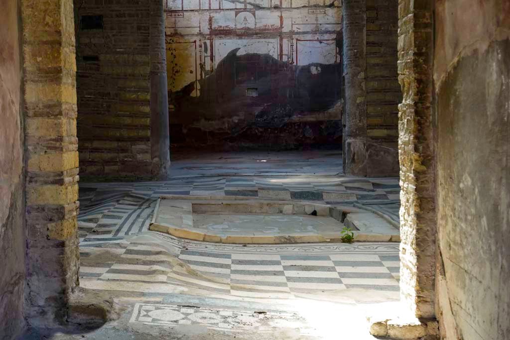 IV.2 Herculaneum, August 2021. 
Looking east towards atrium showing the undulation of the mosaic flooring and impluvium. Photo courtesy of Robert Hanson
