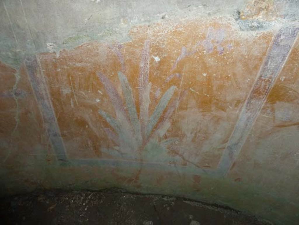 IV.4 Herculaneum. September 2015. Room 24, detail of painted plant from zoccolo of apse.