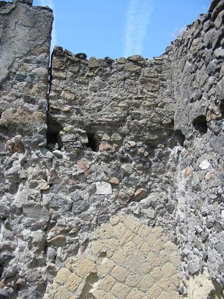 IV.6, Herculaneum, May 2003. Room 7, detail of west wall in north-west corner. 
Photo courtesy of Nicolas Monteix.
