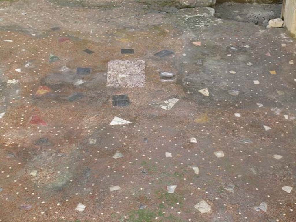 IV, 14, Herculaneum, May 2004. Detail of flooring, looking south. Photo courtesy of Nicolas Monteix.