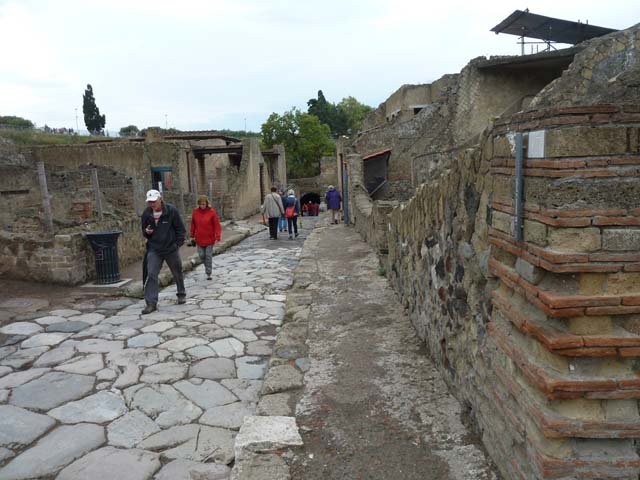 Cardo V, Herculaneum, September 2015. Looking south from near IV.17, on right. 