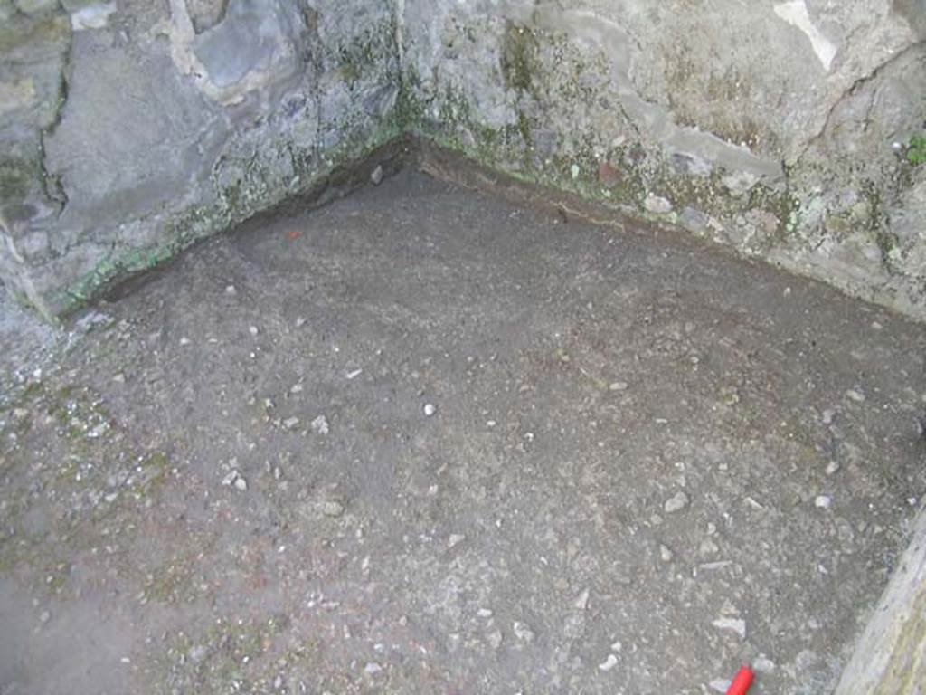 IV.18, Herculaneum, May 2004. Room 9, south-east corner, detail of flooring. Photo courtesy of Nicolas Monteix.
