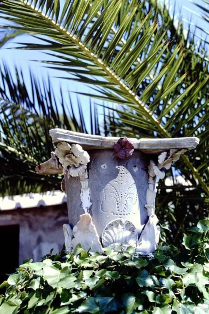 IV.21, Herculaneum. 1968. Capital from east side of garden area. Photo by Stanley A. Jashemski.
Source: The Wilhelmina and Stanley A. Jashemski archive in the University of Maryland Library, Special Collections (See collection page) and made available under the Creative Commons Attribution-Non-Commercial License v.4. See Licence and use details.
J68f1838
According to Maiuri, the capital with a baroque flavour, with marble intarsia on ardesian stone, either belonged to a shrine now destroyed, or was carried here by the violent rush of water. (p.63)
See Maiuri, Amedeo, (1977). Herculaneum. 7th English ed, of Guidebooks to the Museums Galleries and Monuments of Italy, No.53 (p.60-63).
