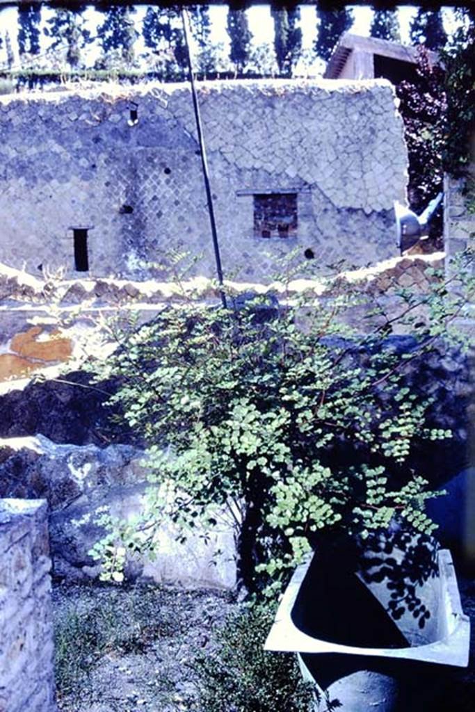 IV.21, Herculaneum, 1968. Bronze bath, on display in garden area. Photo by Stanley A. Jashemski.   
Source: The Wilhelmina and Stanley A. Jashemski archive in the University of Maryland Library, Special Collections (See collection page) and made available under the Creative Commons Attribution-Non-Commercial License v.4. See Licence and use details. J68f01836
