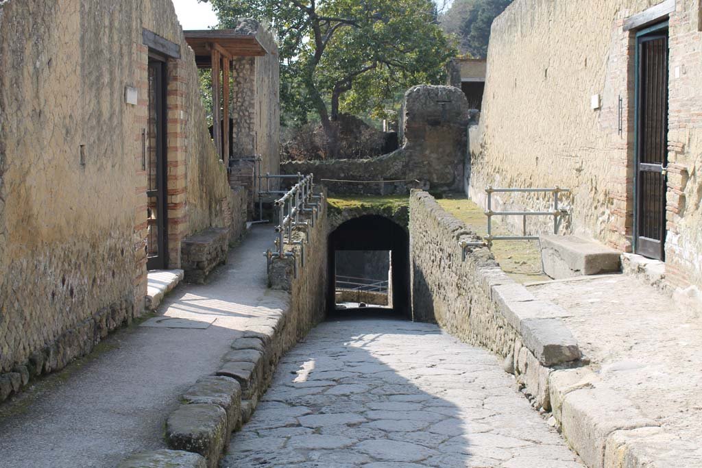 Cardo V, Herculaneum. March 2014. 
Looking south along roadway, with House of Telephus Relief (Ins.Or.I.2) on left, and IV.21, Casa dei Cervi/House of the Stags, on right.  
Foto Annette Haug, ERC Grant 681269 DÉCOR
