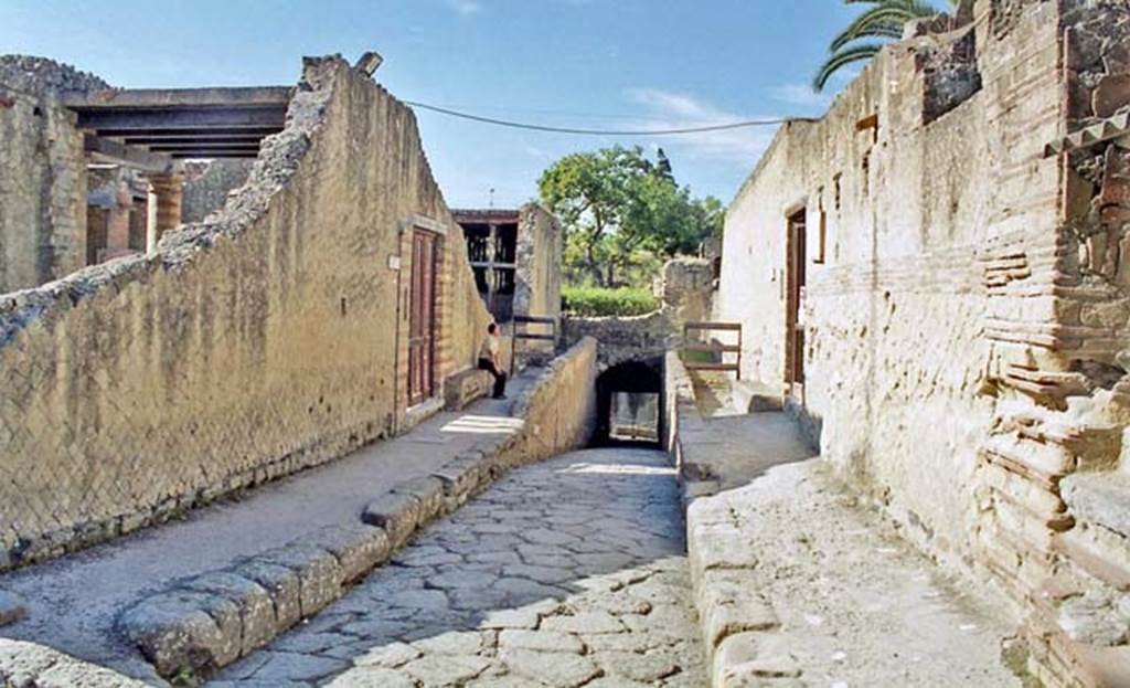 Cardo V Inferiore, Herculaneum, October 2001. Looking south along the Cardo V Inferiore with doorway to the House of the Stags/Deers (IV.21), on the right. On the left is the doorway to the House of Telephus Relief (Ins.Or.I.2). Photo courtesy of Peter Woods.
