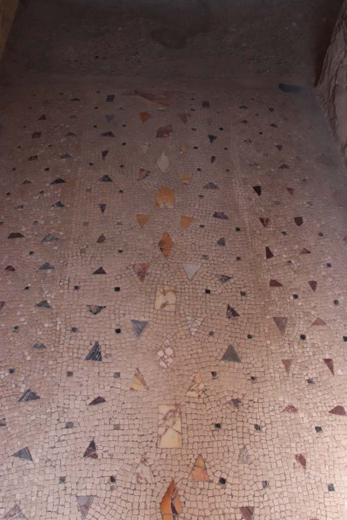 IV.21, Herculaneum, September 2019. Detail of floor mosaic in entrance corridor, 1.
Photo courtesy of Klaus Heese.
