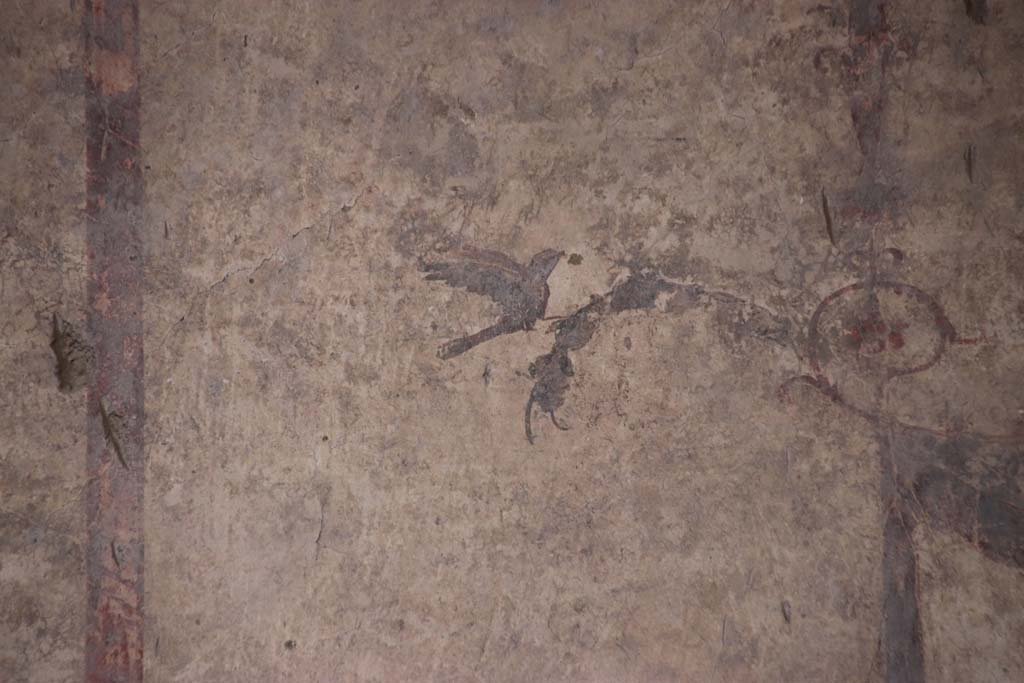 IV.21, Herculaneum. October 2020. 
Room 24, detail of painted bird decoration from north end of upper west wall in atrium. Photo courtesy of Klaus Heese.  
