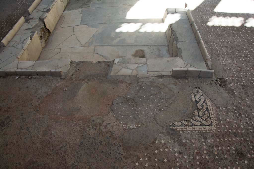 V.1 Herculaneum. March 2019. Looking west across decorated floor of atrium, near impluvium. 
The opus signinum (cocciopesto) flooring in the atrium was set with a regular pattern of white tesserae and a decorated “rope” mosaic. 
The base of the impluvium was lined with marble.
Foto Annette Haug, ERC Grant 681269 DÉCOR.

