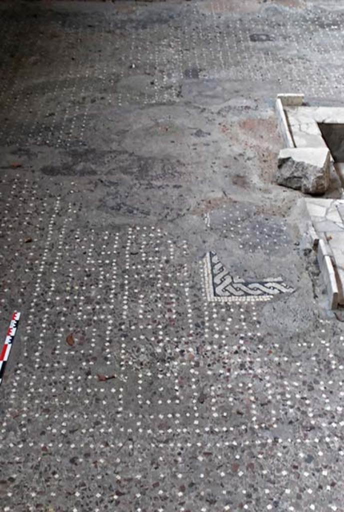 V.1, Herculaneum. November 2008. 
Looking south across atrium flooring at east end of impluvium. Photo courtesy of Nicolas Monteix.
