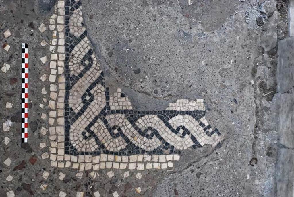 V.1, Herculaneum, November 2008. Detail of mosaic decoration at edge of impluvium in atrium. Photo courtesy of Nicolas Monteix.
