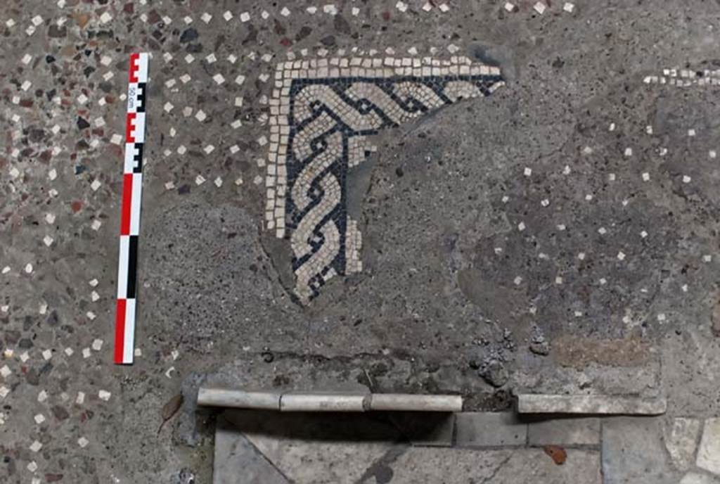 V.1, Herculaneum. November 2008. Detail of mosaic decoration at edge of north-east corner of impluvium in atrium. Photo courtesy of Nicolas Monteix.

