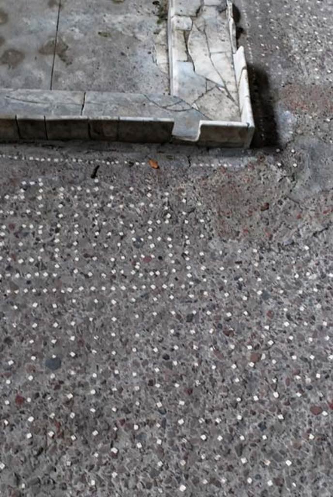 V.1, Herculaneum, November 2008. North-west corner of impluvium and atrium flooring. 
Photo courtesy of Nicolas Monteix.
