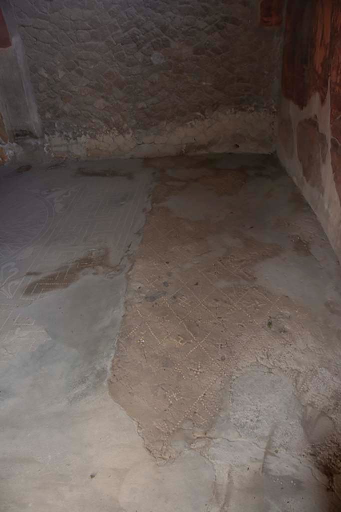 V.1 Herculaneum. March 2019. Room 6, floor near south wall of the tablinum.
Foto Annette Haug, ERC Grant 681269 DÉCOR.

