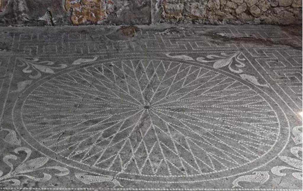 V.1, Herculaneum, April 2018. Room 6, tablinum flooring. Photo courtesy of Ian Lycett-King. 
Use is subject to Creative Commons Attribution-NonCommercial License v.4 International.
