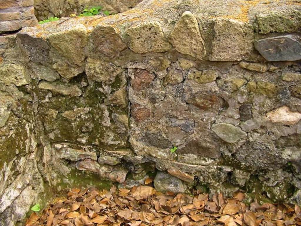 V.4, Herculaneum, May 2003. Garden area M, detail of east wall in north-east corner. Photo courtesy of Nicolas Monteix.