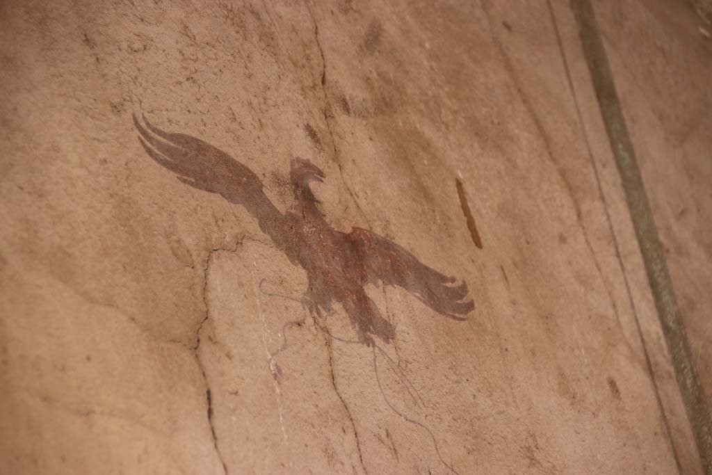 V.5 Herculaneum, September 2017. Detail of painted bird from upper north wall of entrance corridor.
Photo courtesy of Klaus Heese. 

