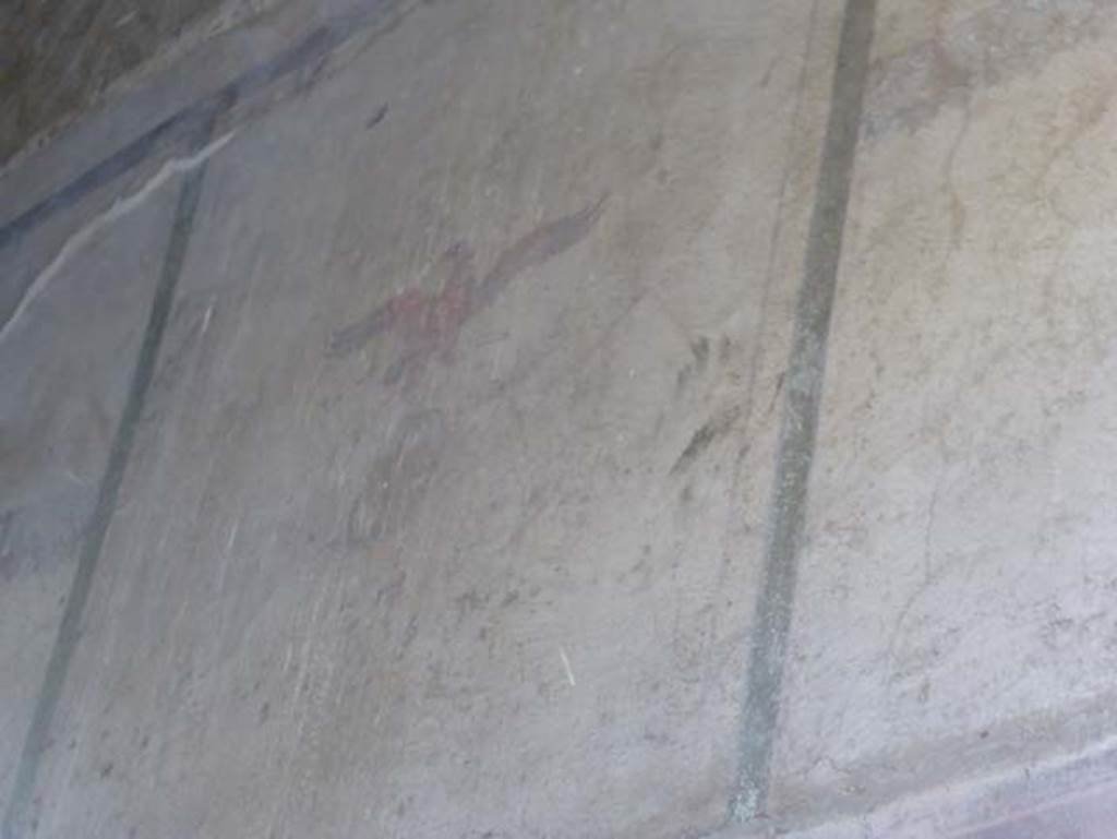 V.5 Herculaneum, September 2015. Painted bird from upper south wall.