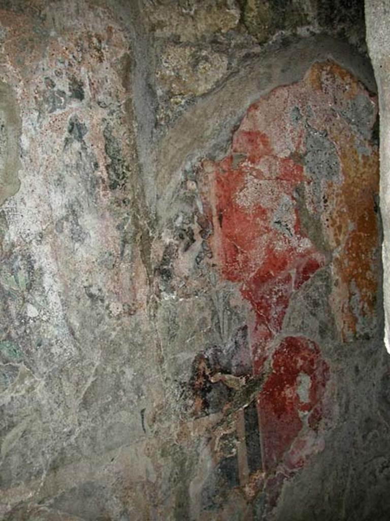 V.7, Herculaneum. September 2003. Detail of painted decoration on north wall.
Photo courtesy of Nicolas Monteix.
