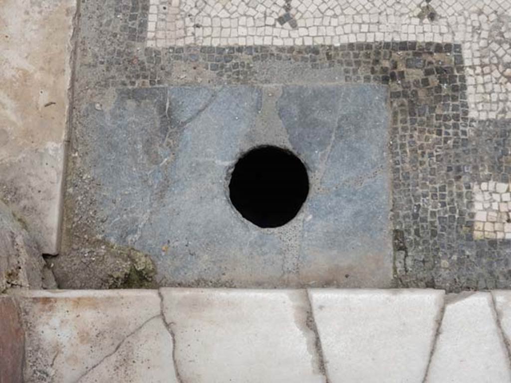 V.8 Herculaneum, May 2018. Area 4, rainwater drainage in south-west corner of raised courtyard.  
Photo courtesy of Buzz Ferebee.
