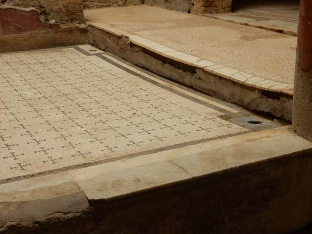 V.8 Herculaneum, May 2018. Room 4, raised courtyard, looking south-east along line of rainwater drainage.  
Photo courtesy of Buzz Ferebee.
